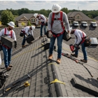 Veridon Chimney Services La