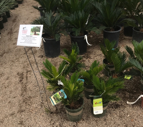 Mesquite Valley Growers Nursery - Tucson, AZ