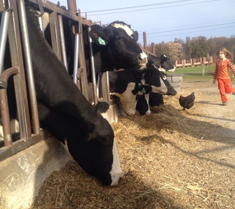 Cook Farm - Hadley, MA