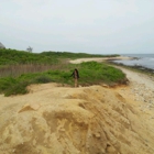 The Ocean Dunes at Amagansett