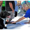 Jacksonville Community Pet Clinic gallery