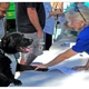 Jacksonville Community Pet Clinic