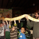 E and J Reptile & Animal Shows - Children's Party Planning & Entertainment