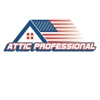 Attic Professional gallery