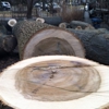Affordable tree service inc. gallery