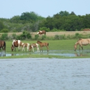 Island Cruises - Boat Tours