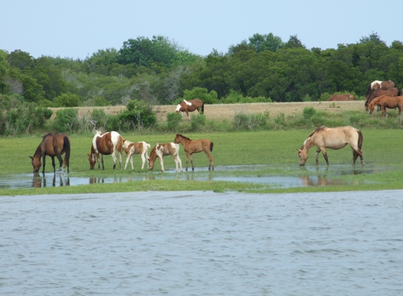 Island Cruises - Chincoteague Island, VA