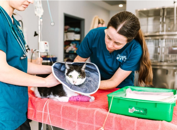 Merewether Veterinary Hospital
