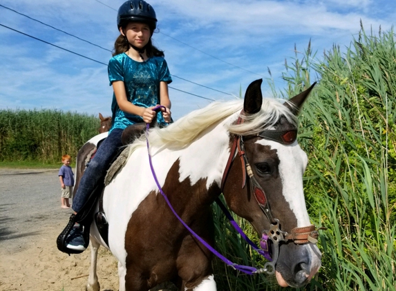 Easy Does It Ranch and Riding Academy - Chesapeake, VA