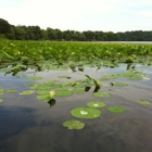 Boat House On Swartswood Lake