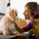 Apolda Kennels - Pet Sitting & Exercising Services
