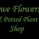 Awe Flowers & Potted Plant Shop - Flowers, Plants & Trees-Silk, Dried, Etc.-Retail