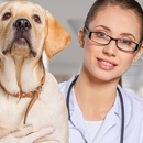 Godfrey's Animal Clinic - Pet Services