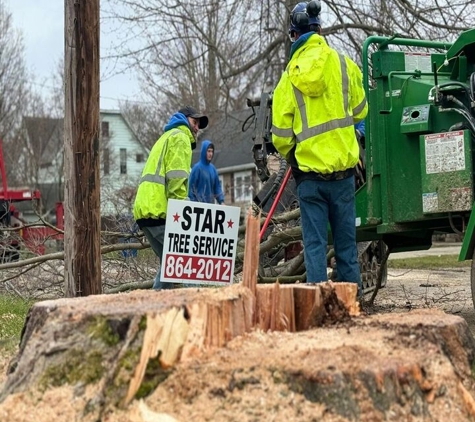 Star Tree Service - Waterford, PA