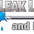 Accurate Leak Locators