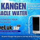 Kangen Water - Water Filtration & Purification Equipment
