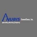 Anubis SceneClean, Inc. - Building Cleaning-Exterior