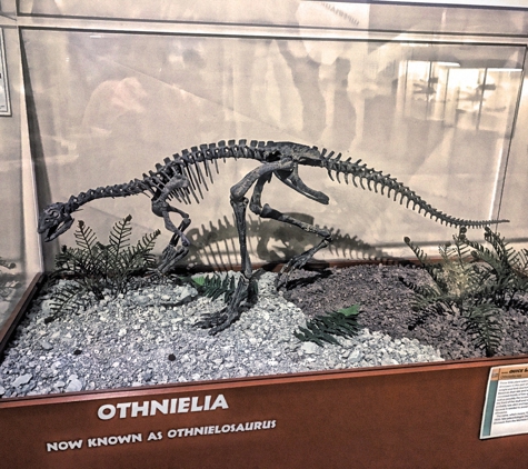 Dinosaur Journey Museum - Fruita, CO