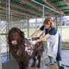 North Kingstown Animal Hospital gallery