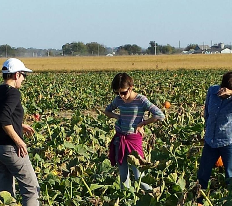 Schaake Pumpkin Patch - Lawrence, KS