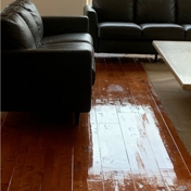 Gallery Image Number 3