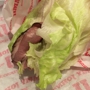 Jimmy John's