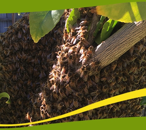 Perkins Exterminators Pty Ltd - Greensborough, VIC. Perkins Exterminators Has Been Providing Professional Pest Management Services Across Melbourne For Over 40 Years