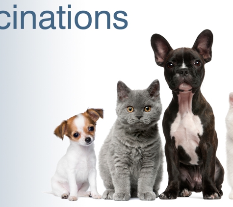 Glenvale Veterinary Clinic. Vaccinations