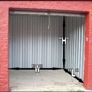 Photo #11