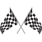 Checkered Flag Imports Inc