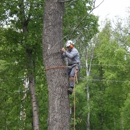 Timber Tree Service - Tree Service