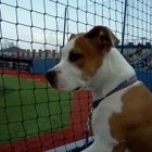 Bob Warn Field-Sycamore Stadium