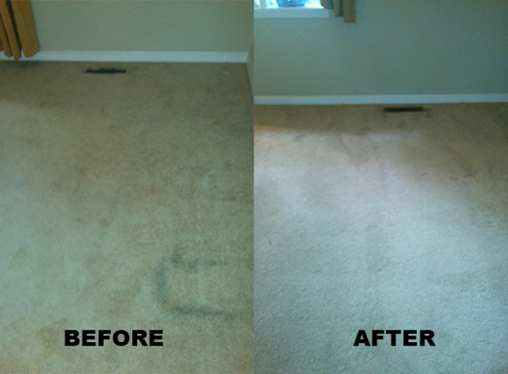 Truly Clean Carpet Care - Warner Robins, GA