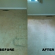 Truly Clean Carpet Care