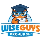 WiseGuys Pro-Wash