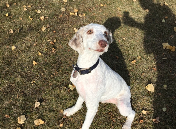 Circle-Friends Humane Society - Grand Forks, ND