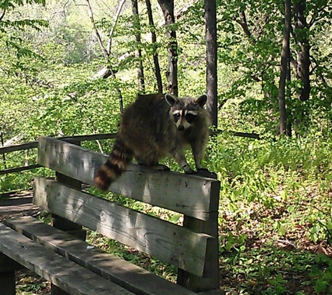 Stiglmeier Park - Cheektowaga, NY