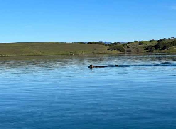 Kayak Connection - Moss Landing, CA