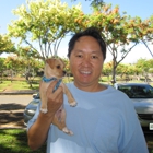 Dog Training Honolulu