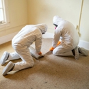 Rainbow Environmental Services - Mold Testing & Consulting
