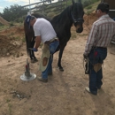 C&R horse shoeing - Horseshoers