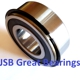 JSB Great Bearings