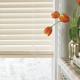 Presidential Window Products