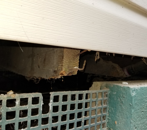 Home Inspection Headquarters - Knoxville, TN. Kitchen floor had a weak spot...I guess you can't be bothered to look directly under the window to find the rotted joists