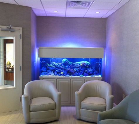 Aquarium Maintenance Professionals - Rochester Hills, MI