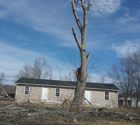 Ash pro tree service - Lexington, KY