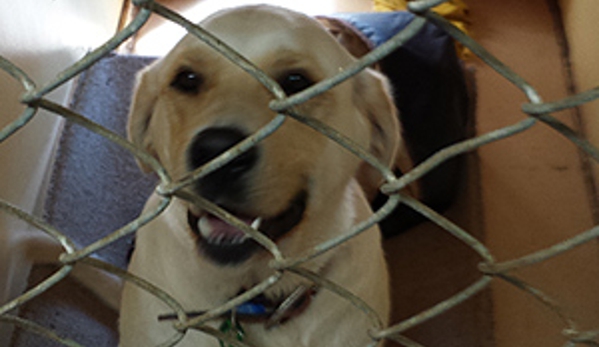 Ulverstone Boarding Kennels & Cattery - Ulverstone, TAS