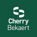 Cherry Bekaert - Business Coaches & Consultants