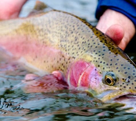 Park City Fly Fishing Guides - Park City, UT