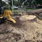 Professional Stump Grinding